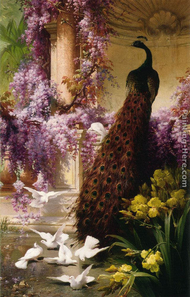 A Peacock and Doves in a Garden painting - Eugene Bidau A Peacock and Doves in a Garden art painting